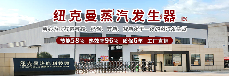 紐克曼蒸汽發生器的定義和原理