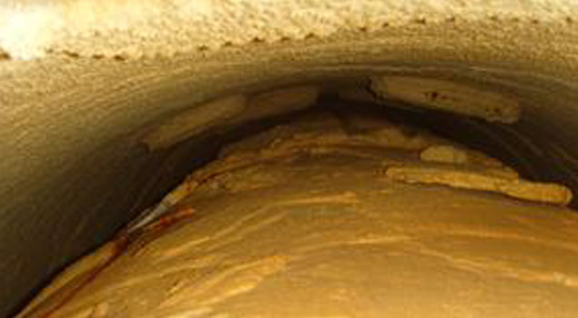 1626259030162940.jpg src=http___img.mp.itc.cn_upload_20161123_fd3ca3add1d94f9db8430c49e15cca4c_th.jpg&refer=http___img.mp.itc.jpg