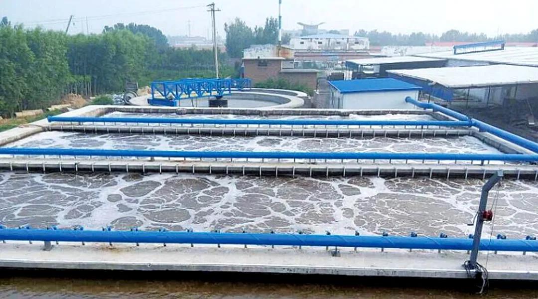 1626513414139304.jpeg 2fcc052b94587b8af7642b919cdab52d.jpeg