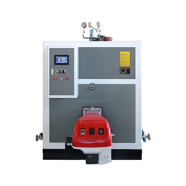 雙燃料蒸汽發生器的原理!