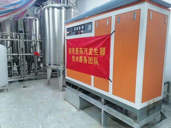 蒸汽發生器反應式清理水垢!