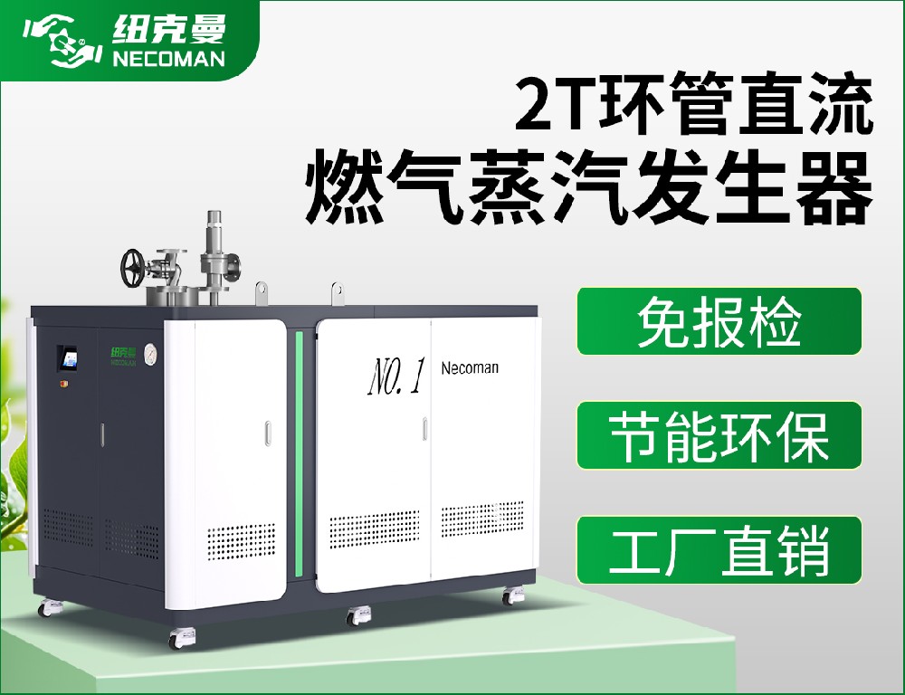 2.0噸 燃?xì)馊加驼羝l(fā)生器